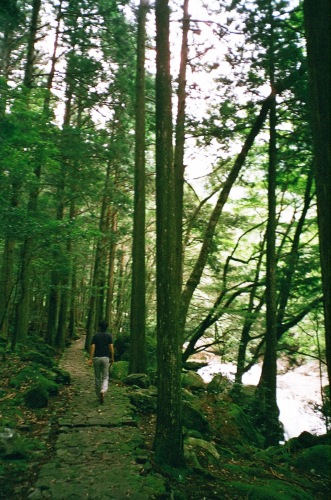 c0201257_1725347.jpg