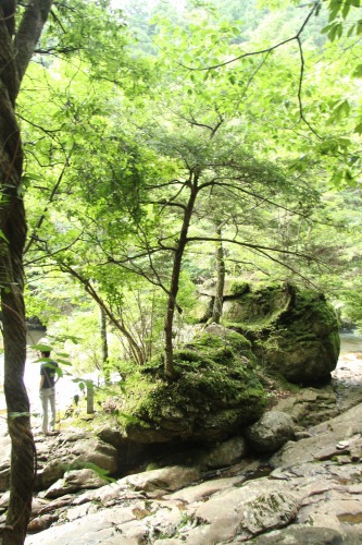 c0201257_17334473.jpg