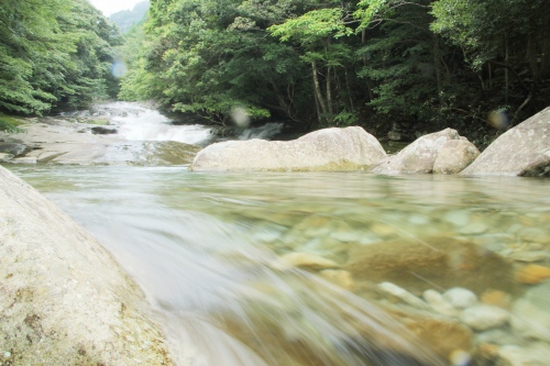 c0201257_1745954.jpg