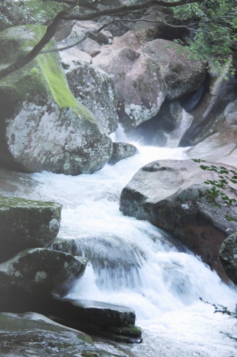 c0201257_1754356.jpg