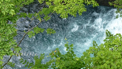 d0173057_2327180.jpg
