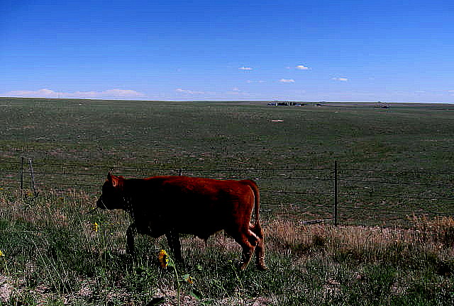 b0207361_12494717.jpg