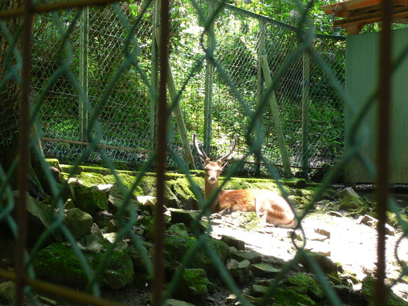 e0235963_18351676.jpg