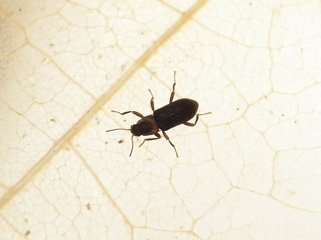 b0130166_203859100.jpg