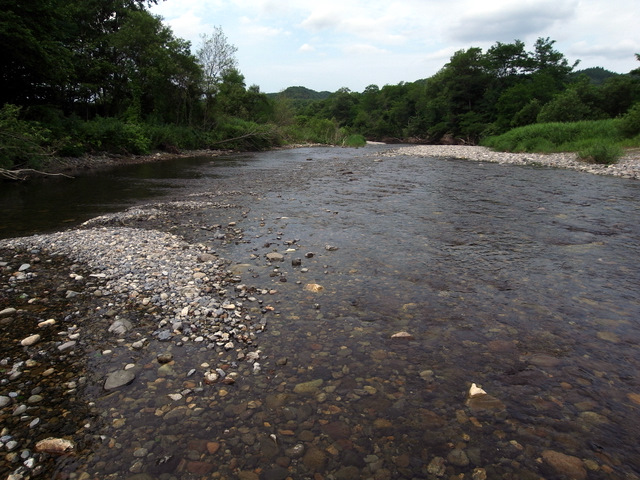 b0130166_20385938.jpg