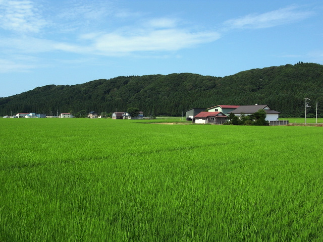 b0130166_20385950.jpg