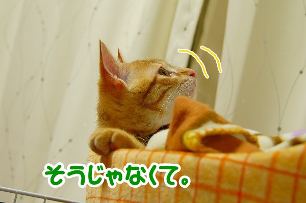 a0201967_19272381.jpg