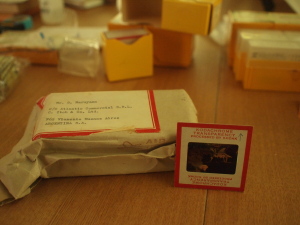 d0163670_13191648.jpg