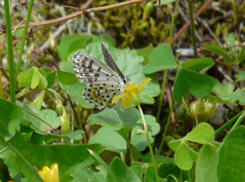 d0084473_2211411.jpg