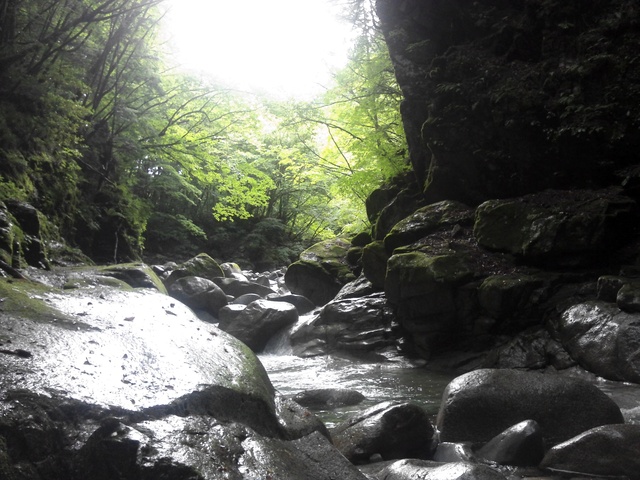a0093677_941695.jpg