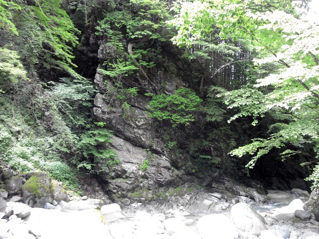 a0093677_992023.jpg