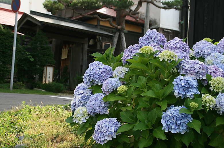 c0112479_236060.jpg