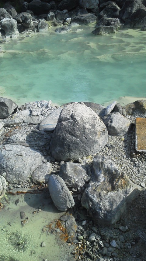 c0029580_12401218.jpg