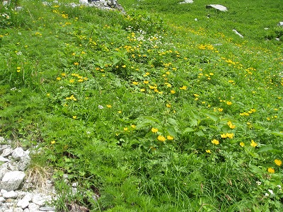 c0138182_14494672.jpg