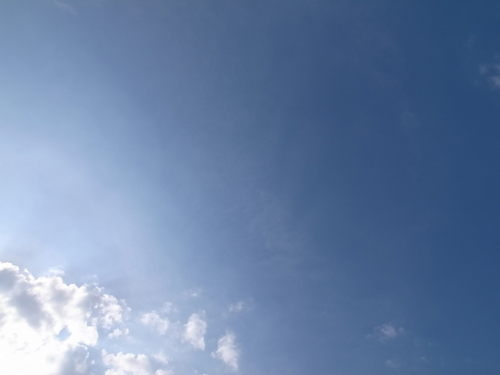 d0138082_2554943.jpg