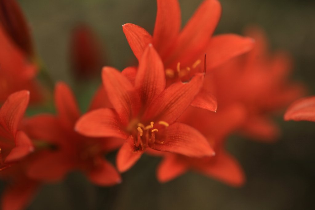 a0076683_19115160.jpg