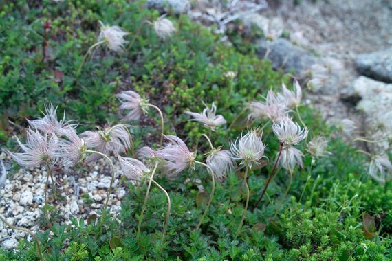 b0160184_20222331.jpg