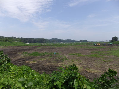 c0039487_22592841.jpg