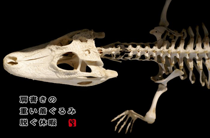 c0186592_747276.jpg