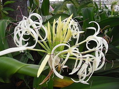 e0111793_15553040.jpg