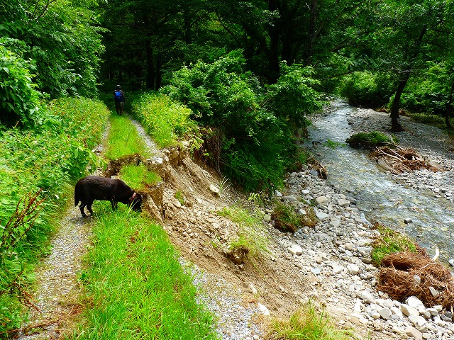 e0202393_8162389.jpg