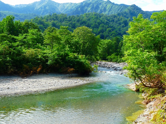 e0202393_8163419.jpg