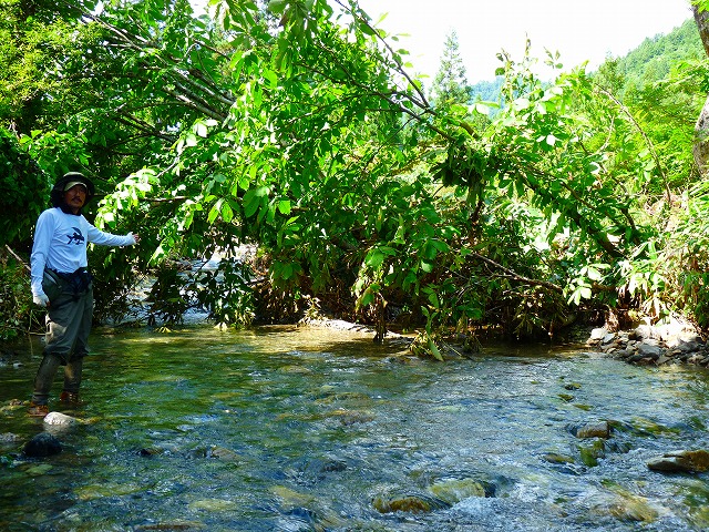 e0202393_8174058.jpg