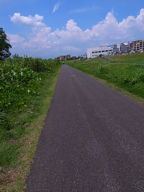 d0081997_2153529.jpg