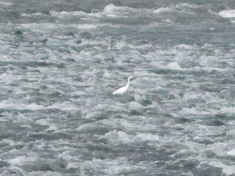 f0153998_0414987.jpg