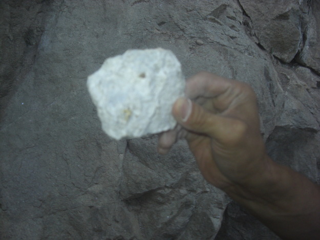 d0151699_110477.jpg