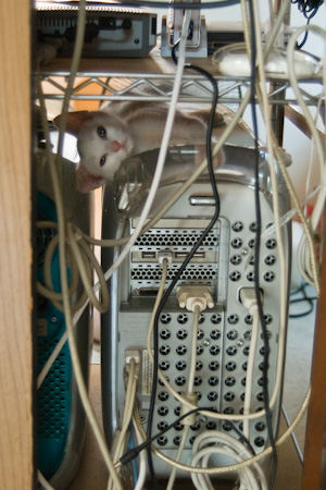 f0239100_0201119.jpg