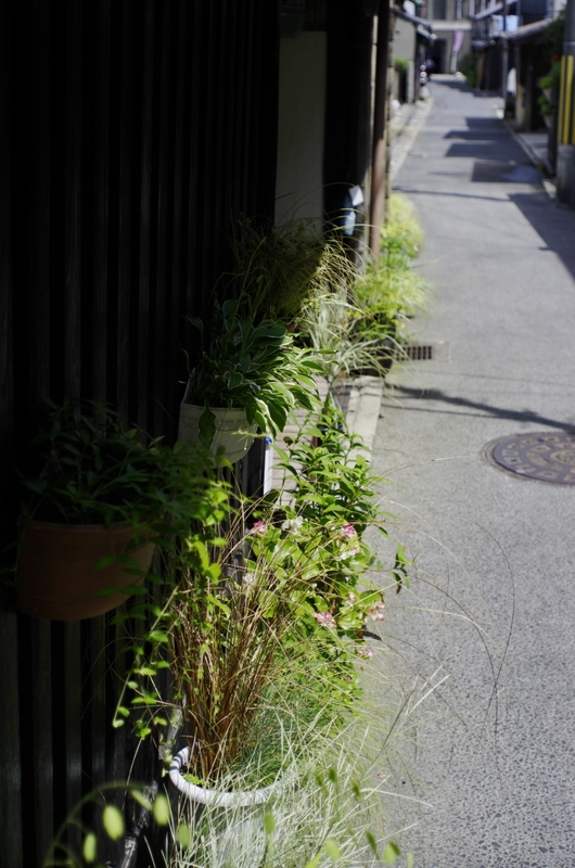 b0138101_2332299.jpg
