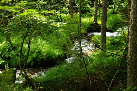 a0158802_032776.jpg