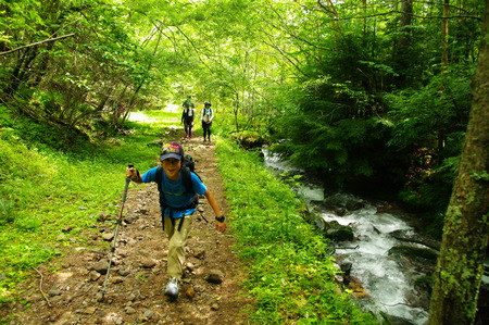 a0158802_07046.jpg