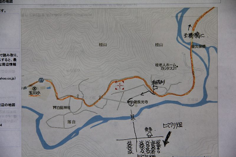 a0188405_14562296.jpg