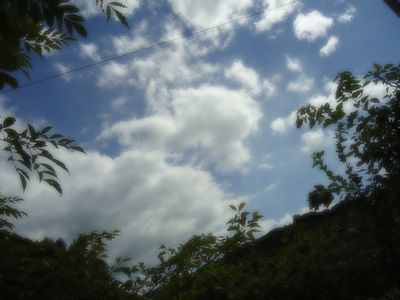 a0051108_14294566.jpg