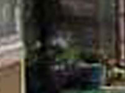 e0103408_160456.jpg