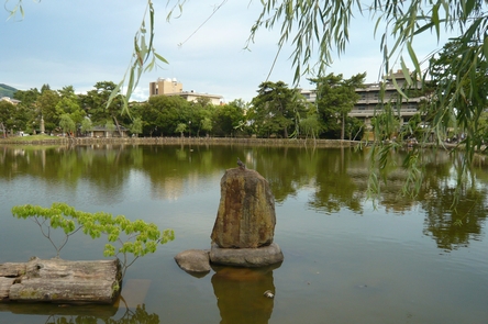 f0221708_10515953.jpg