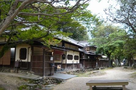 f0221708_930378.jpg