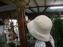c0190010_21203497.jpg