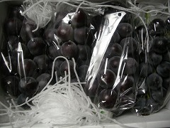 c0190010_2125175.jpg