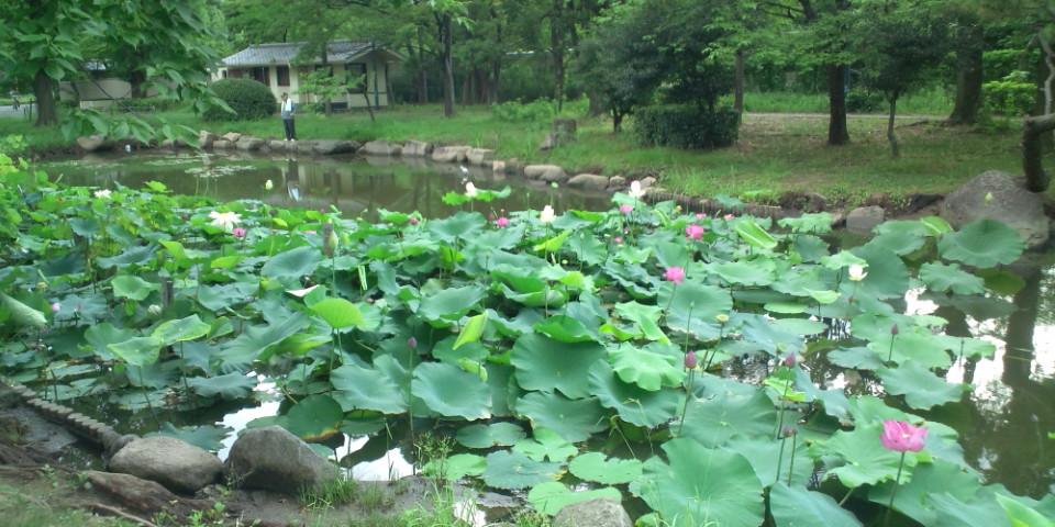 f0219810_18141387.jpg
