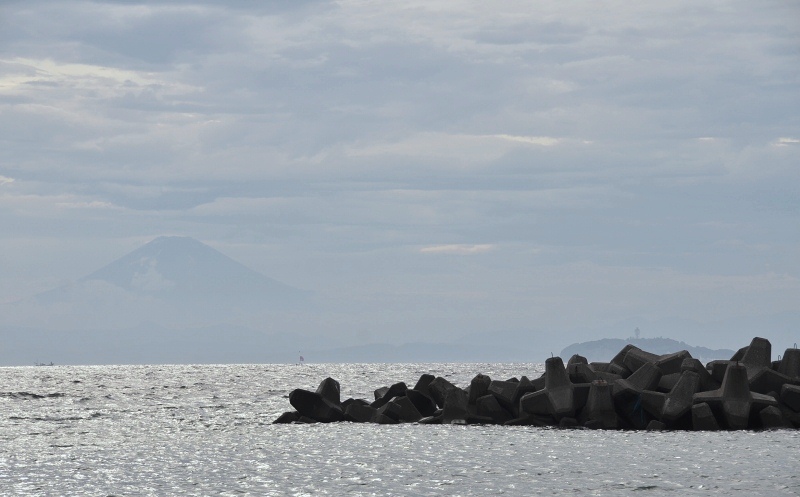 d0065116_20214019.jpg