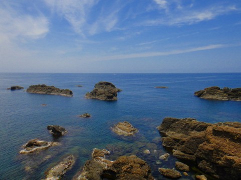 c0044617_1219349.jpg