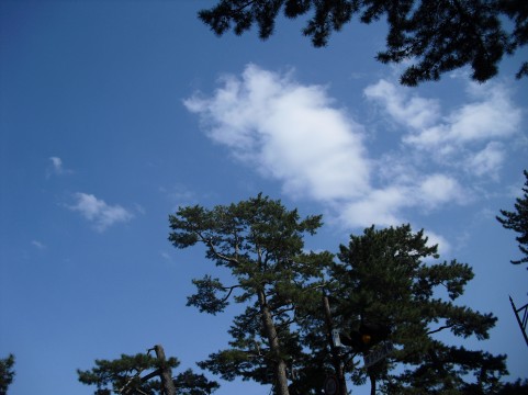 c0044617_1662647.jpg