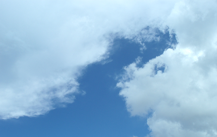 f0219718_13145139.jpg