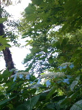 e0112619_048322.jpg