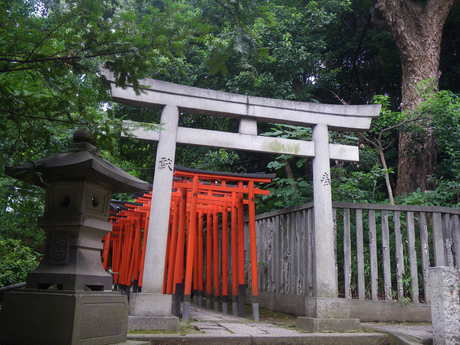 e0156620_11301662.jpg