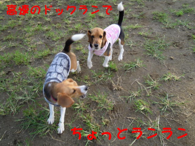 c0166622_11111960.jpg