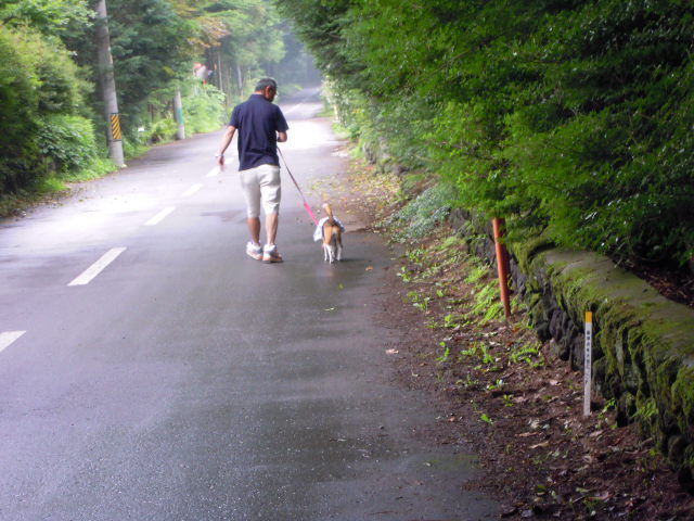 c0166622_1112622.jpg